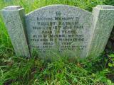 image of grave number 570103